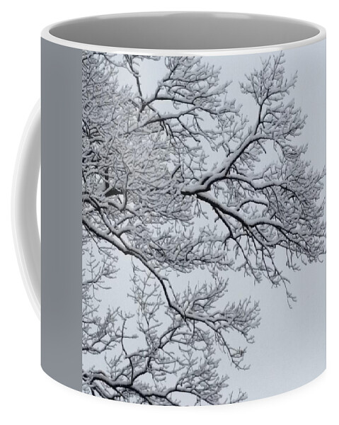 Ice Coffee Mug featuring the photograph Icey Winter Branch by Vic Ritchey