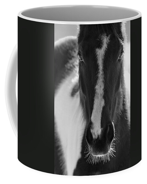 Horse Coffee Mug featuring the photograph iContact by Evelina Kremsdorf