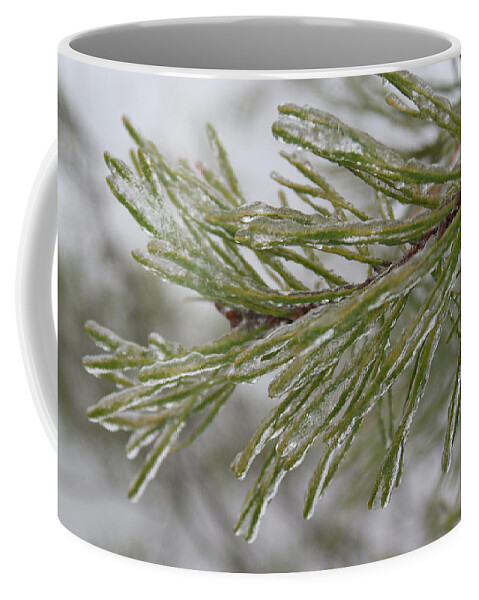 Icy Coffee Mug featuring the photograph Icy Fingers of the Pine by Douglas Barnett