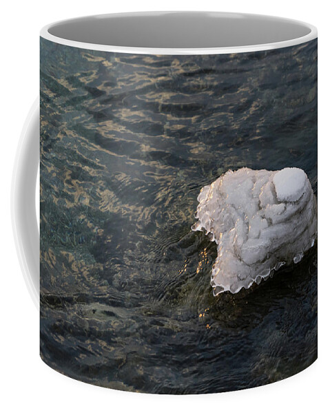 Icy Island Coffee Mug featuring the photograph Icy Island - Drifting Solo on Silky Grays by Georgia Mizuleva