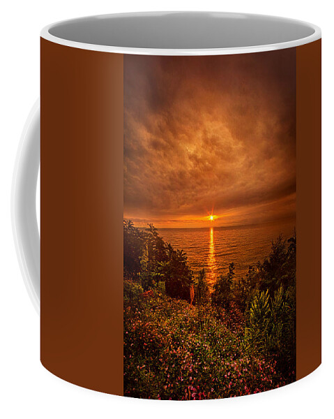 Lake Coffee Mug featuring the photograph I'll Dream of You Again by Phil Koch