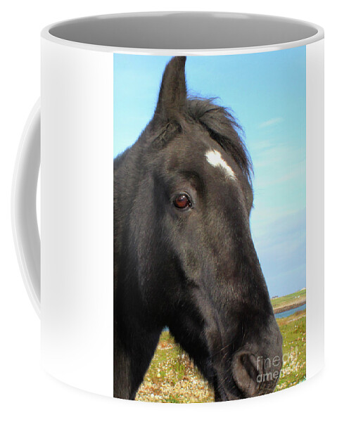 Horse Coffee Mug featuring the photograph Horsey Donegal by Eddie Barron