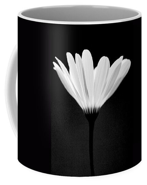Flower Coffee Mug featuring the photograph Illuminated Lady by Julie Lueders 