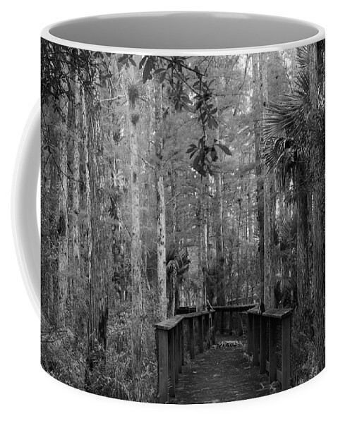 Keri West Coffee Mug featuring the photograph Illuminated Path by Keri West