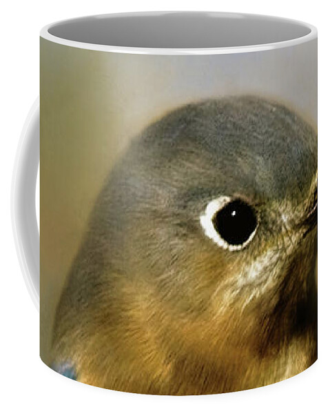 Animal Coffee Mug featuring the photograph I'm a Bluebird by Lana Trussell