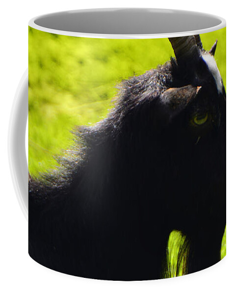 Im Billy Too Coffee Mug featuring the photograph Im Billy too by Paul Davenport