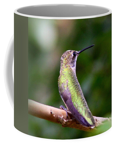  Ruby-throated Hummingbird Coffee Mug featuring the photograph IMG_0909-006 - Ruby-throated Hummingbird by Travis Truelove
