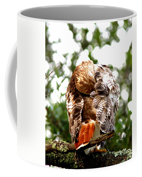 Red-tailed Hawk Coffee Mug featuring the photograph IMG_1049-006 - Red-tailed Hawk by Travis Truelove