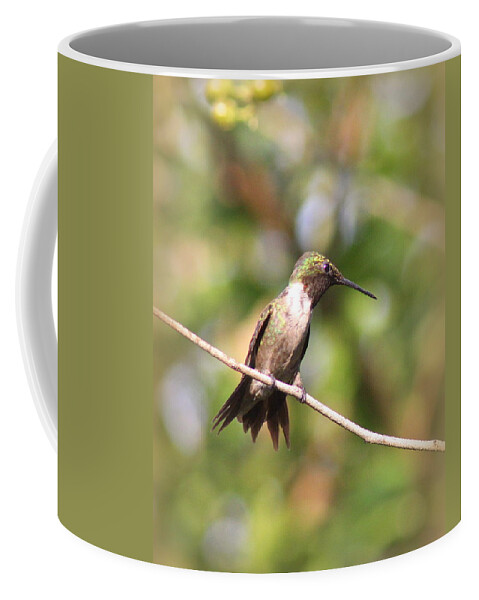 Ruby-throated Hummingbird Coffee Mug featuring the photograph IMG_6187-004 - Ruby-throated Hummingbird by Travis Truelove