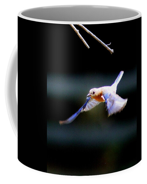 Eastern Bluebird Coffee Mug featuring the photograph IMG_7540 - Eastern Bluebird by Travis Truelove