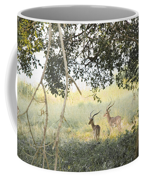 Wildlife Coffee Mug featuring the photograph Impala by Patrick Kain