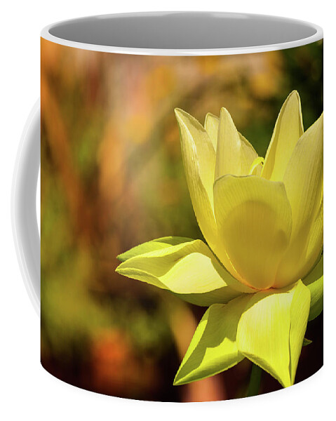 Flower Coffee Mug featuring the photograph In Bloom by Charles McCleanon