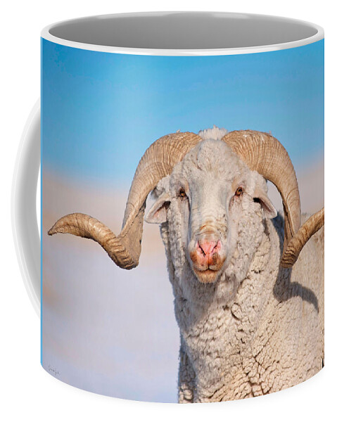 Ram Coffee Mug featuring the photograph In Charge by Amanda Smith