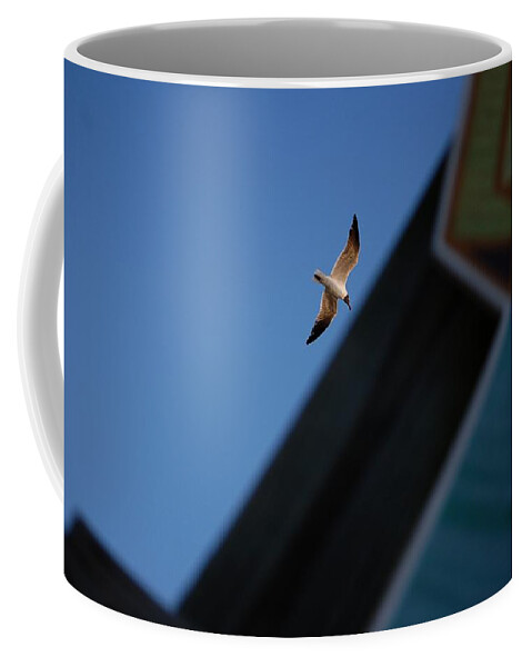 Seagull Coffee Mug featuring the photograph In Flight by Robert Meanor