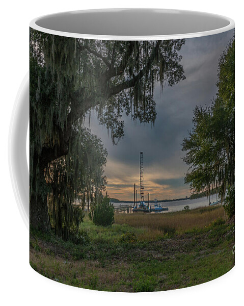 Live Oak Tree Coffee Mug featuring the photograph In Progress by Dale Powell