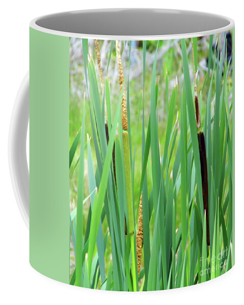 Cattails Coffee Mug featuring the photograph In The Cat Tails by D Hackett