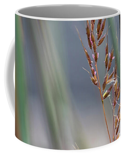 Tall Grass Coffee Mug featuring the photograph In the Company of Blue 2 - by Julie Weber