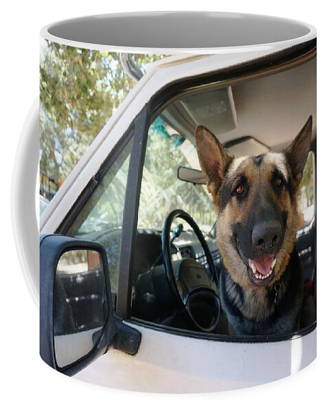 German Shepherd Coffee Mug featuring the photograph In The Driver's Seat by Julia Ivanovna Willhite