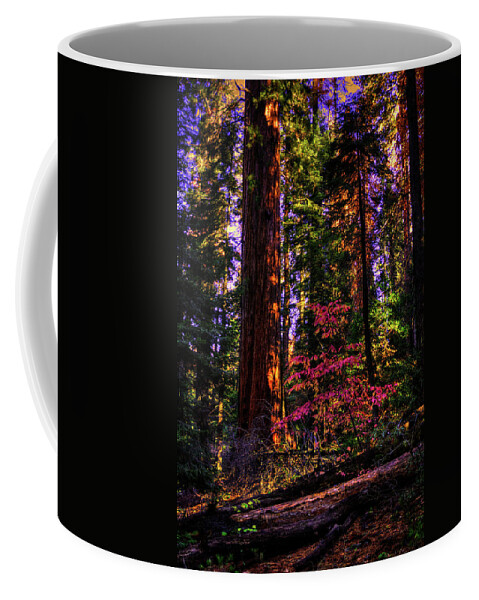 California Coffee Mug featuring the photograph In the Giant Forest by Roger Passman
