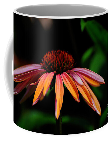Flower Coffee Mug featuring the photograph In The Golden Hour by Lois Bryan