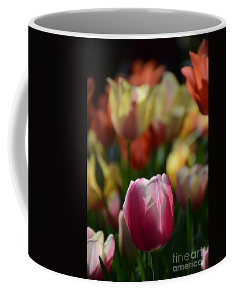  Coffee Mug featuring the painting In The Light by Constance Woods