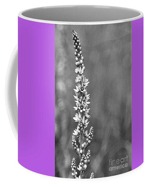 Flower Coffee Mug featuring the photograph In The Meadow by Sheila Ping