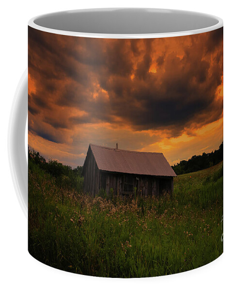 In The Midst Of Sunset Coffee Mug featuring the photograph In the Midst of Sunset by Rachel Cohen