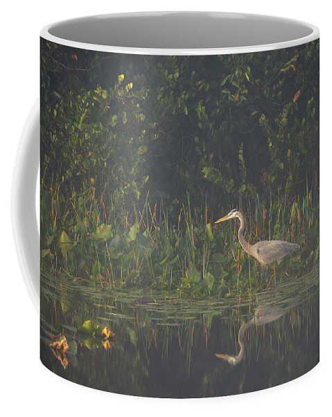 Marsh Coffee Mug featuring the photograph In The Mist by Lorenzo Cassina