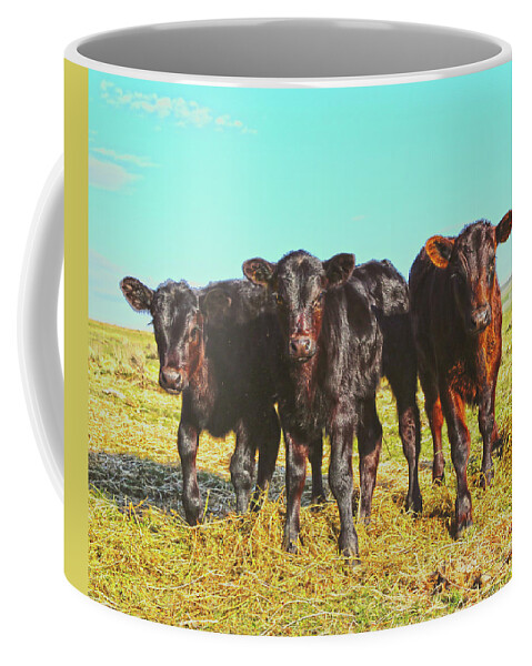 Calves Coffee Mug featuring the photograph In the Mood for Hay by Amanda Smith