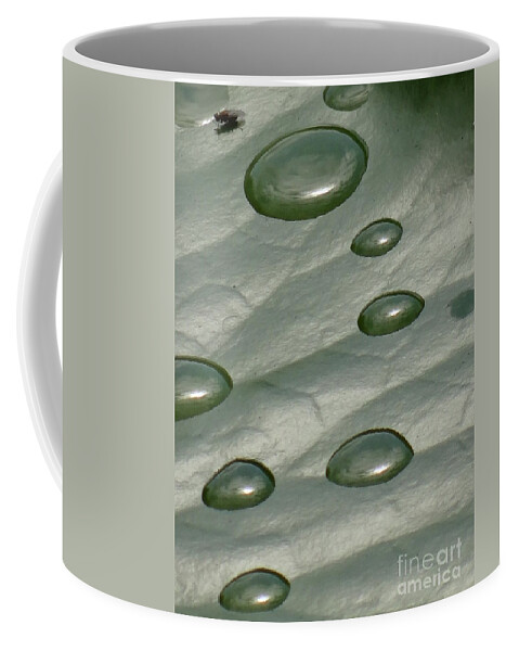 Rain Coffee Mug featuring the photograph In the rain by Karin Ravasio