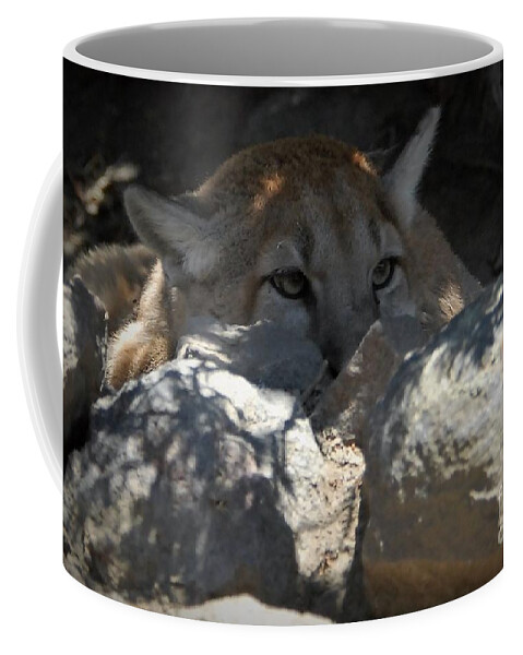 Mountain Lion Coffee Mug featuring the photograph In The Rocks by Laurianna Taylor