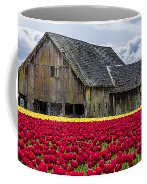 Abundance Coffee Mug featuring the photograph In the Tulip Field by Teri Virbickis