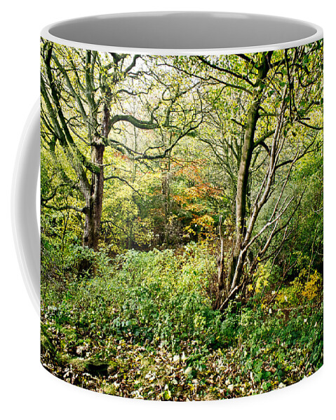 Tree Coffee Mug featuring the photograph In the woods by Elena Perelman