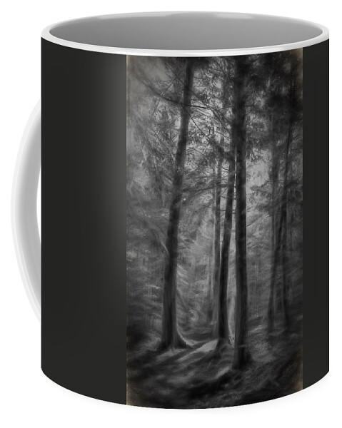 Trees Coffee Mug featuring the photograph In the Woods by Phyllis Meinke