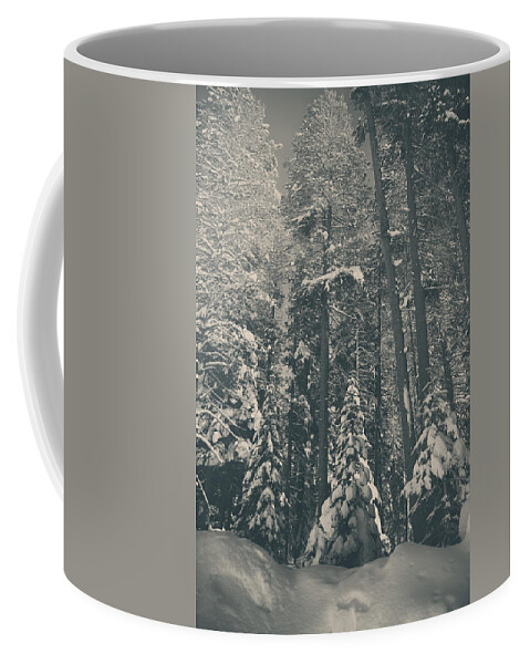 Strawberry Coffee Mug featuring the photograph In Time by Laurie Search