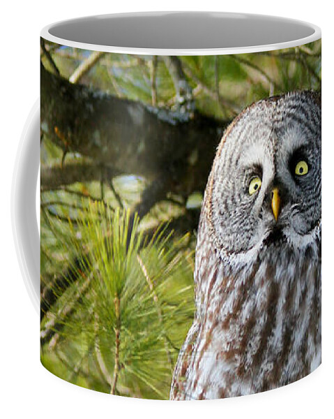 Owls Coffee Mug featuring the photograph Incoming by Heather King