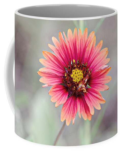 Indian Coffee Mug featuring the photograph Indian Blanket by James Smullins