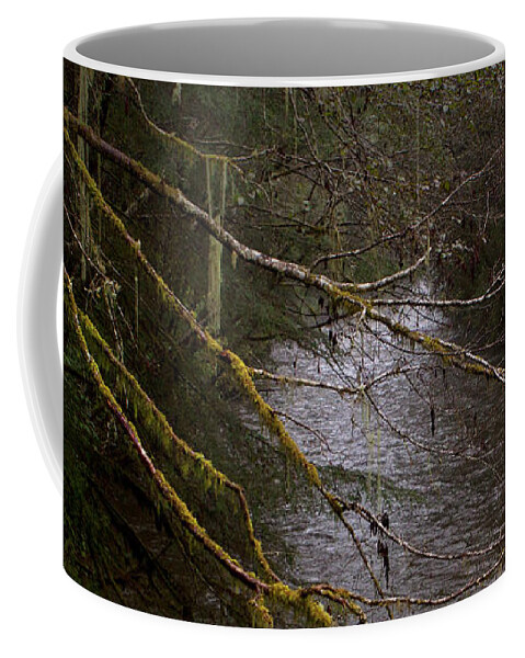 Seagull Coffee Mug featuring the photograph Indian River-Signed-#5243 by J L Woody Wooden