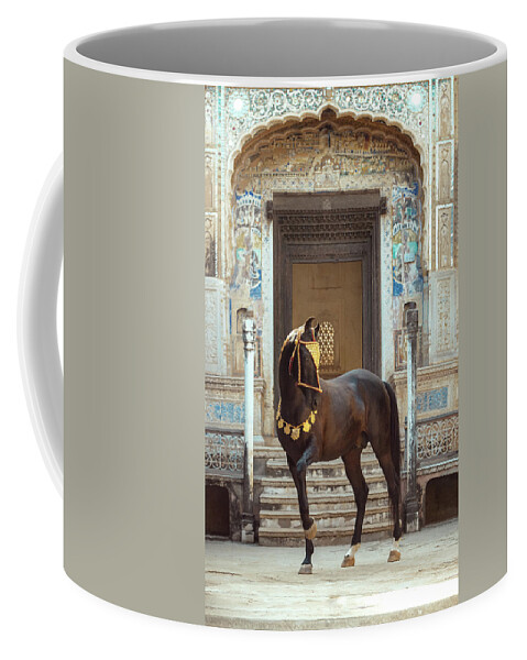 Russian Artists New Wave Coffee Mug featuring the photograph Indian Treasure by Ekaterina Druz