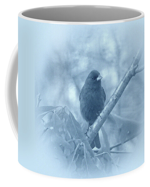 Indigo Bunting Coffee Mug featuring the photograph Indigo Bunting in Blue by Sandy Keeton