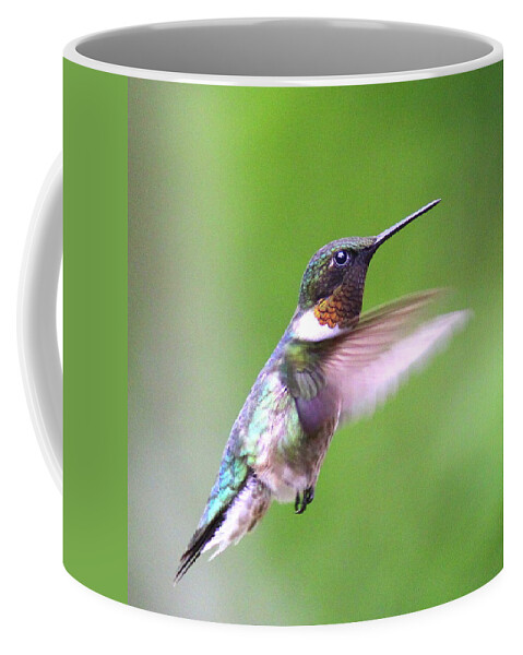 Ruby-throated Hummingbird Coffee Mug featuring the photograph ING_2346-002 - Ruby-throated Hummingbird by Travis Truelove