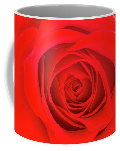 Valentine Coffee Mug featuring the photograph Inside a Rose by Teri Virbickis