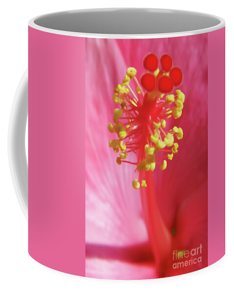 Hibiscus Coffee Mug featuring the photograph Inside The Hibiscus by D Hackett