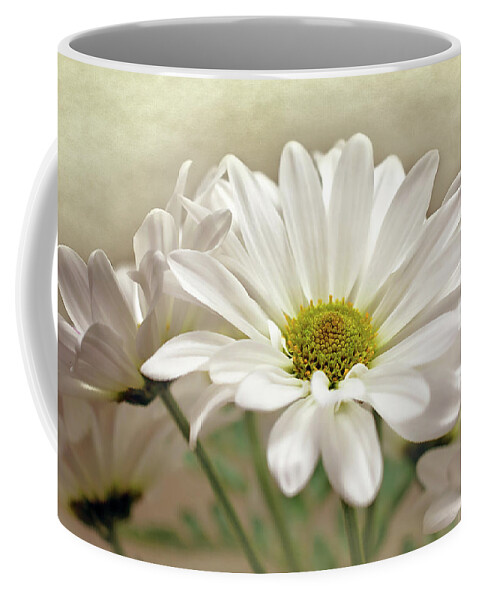 Daisies In Light Photo Coffee Mug featuring the photograph Inspired Daisies Print by Gwen Gibson