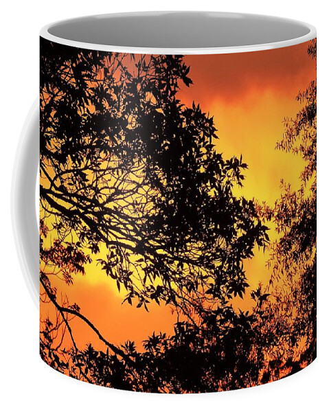 Abstract Coffee Mug featuring the photograph Intensity by Jan Gelders