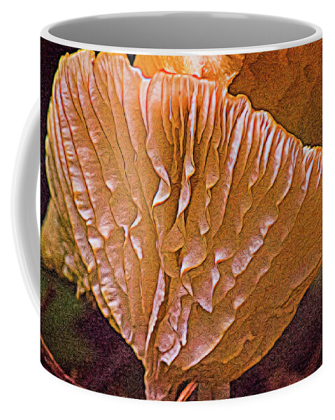 Cantharellus Coffee Mug featuring the photograph Interesting Aspect of Cantharellus by Douglas Barnett