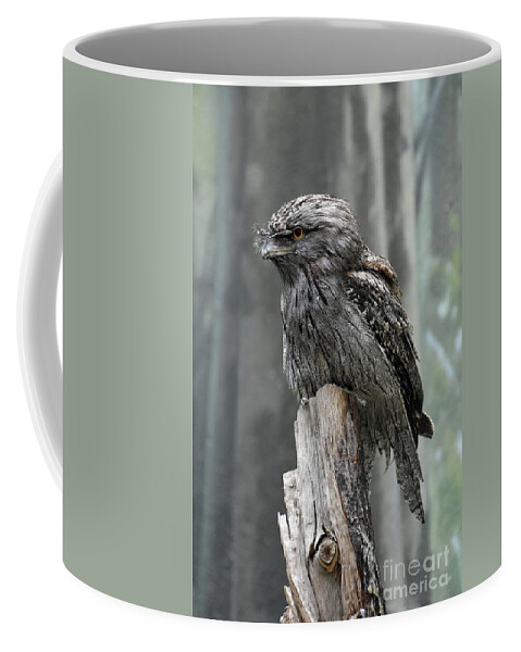 Tawny-frogmouth Coffee Mug featuring the photograph Interesting Tawny Frogmouth Perched on a Tree Stump by DejaVu Designs