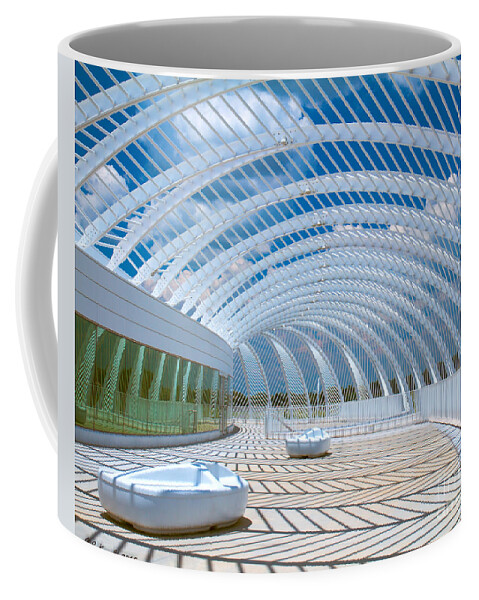Florida Poly Tech University Coffee Mug featuring the photograph Intersecting Lines - Pastels by Sue Karski