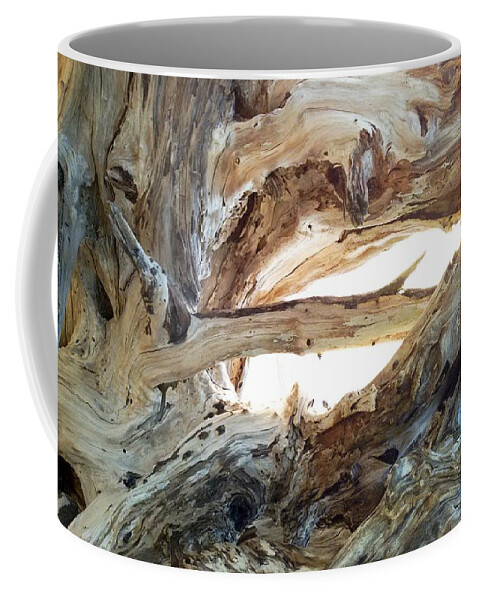 Wood Coffee Mug featuring the photograph Intersection by Steven Robiner