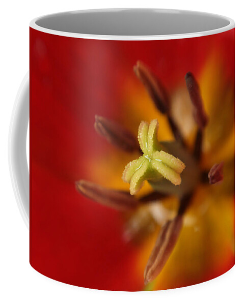 Flowers Coffee Mug featuring the photograph Intimate View Of A Tulip by Dorothy Lee